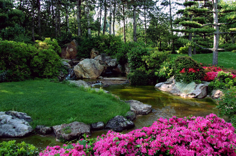 Garden landscape