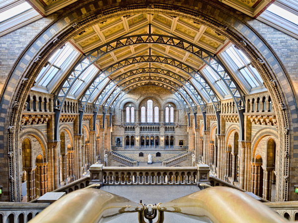 Natural History Museum